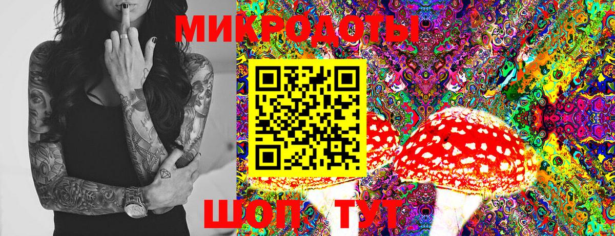 Галлюциногенные грибы MAGIC MUSHROOMS Ипатово