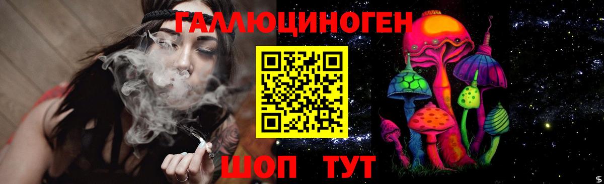 Псилоцибиновые грибы Psilocybe  Вход с VPN  Ипатово 