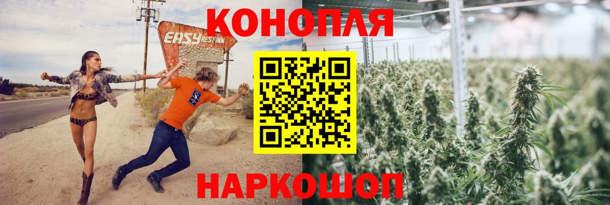 Шишки марихуана планчик Ипатово